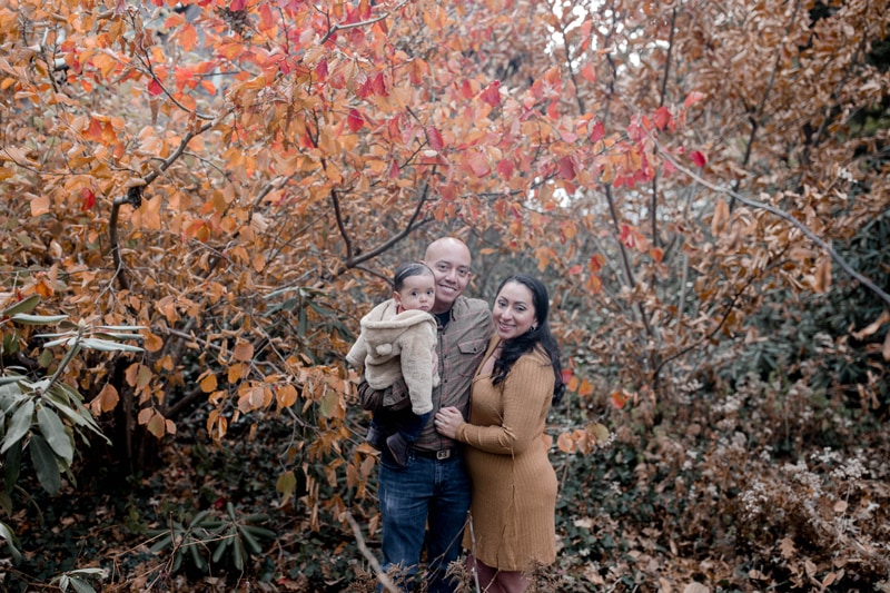 Lifestyle Photography, family of three posing under a tree